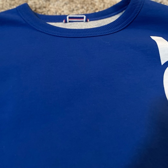 Champion Men’s Blue Vertical Spellout Crewneck Pullover L/S Sweatshirt/L-EUC - Picture 13 of 14